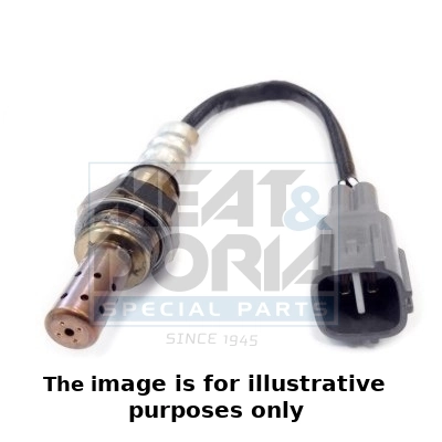 Oxygen Sensor